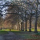 England 2011
